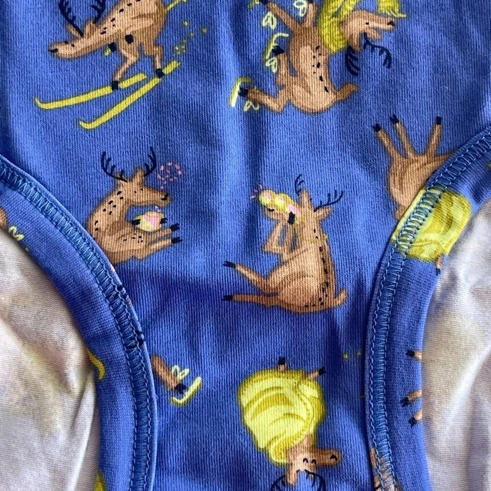 Aerie nwt blue reindeer games boy brief winter holiday panties